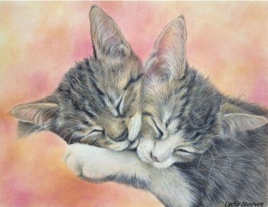 Fuzzy Love CP Online Class